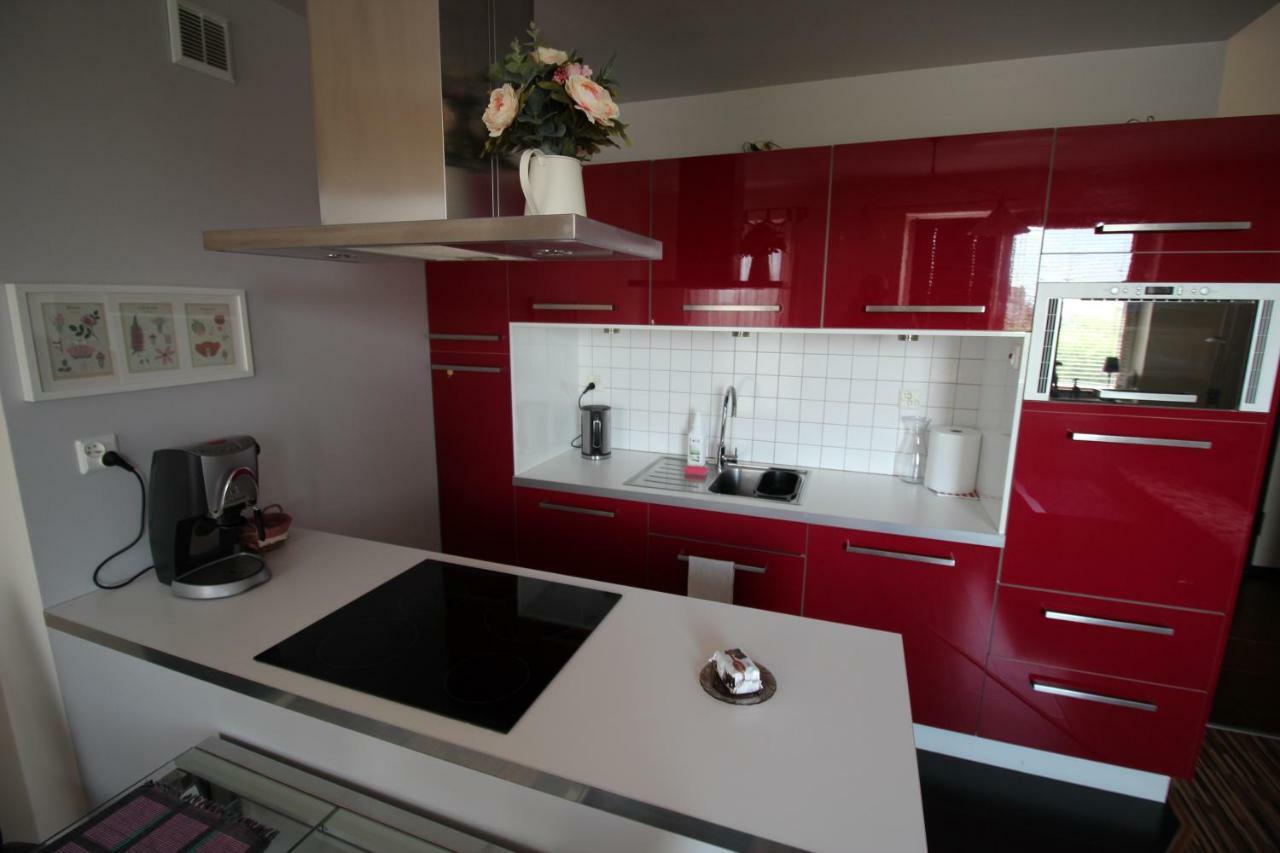 Stary Toruń Apartament Podgorna 12 מראה חיצוני תמונה