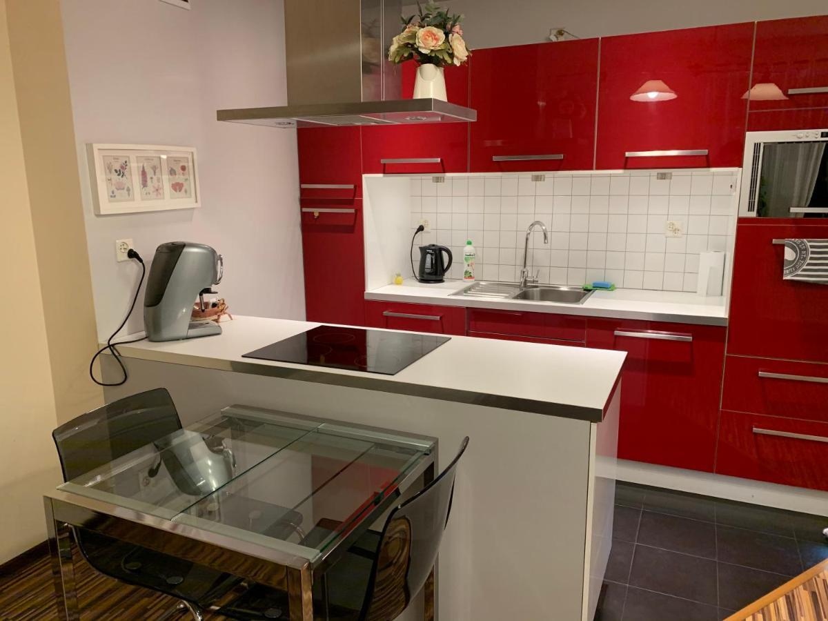 Stary Toruń Apartament Podgorna 12 מראה חיצוני תמונה